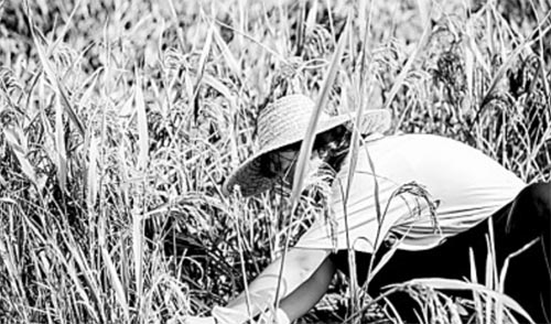 ���҂��@ʮ����ഺ���`��ӛ����˼�����`�nҊ�C�^�M(j��n)�r��