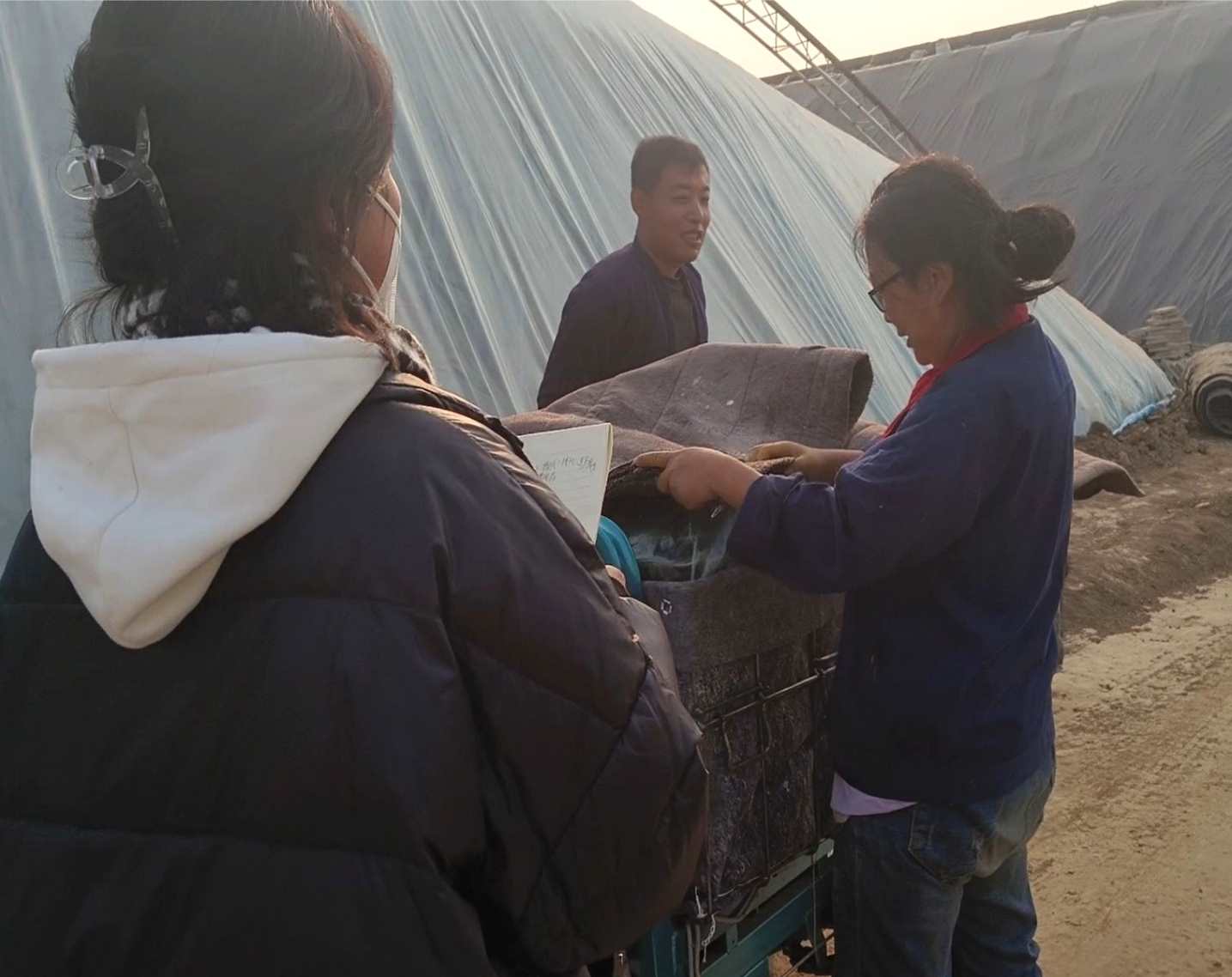 �{(di��o)���߲˰l(f��)չ���˷�(w��n)���Ї�(gu��)��롱