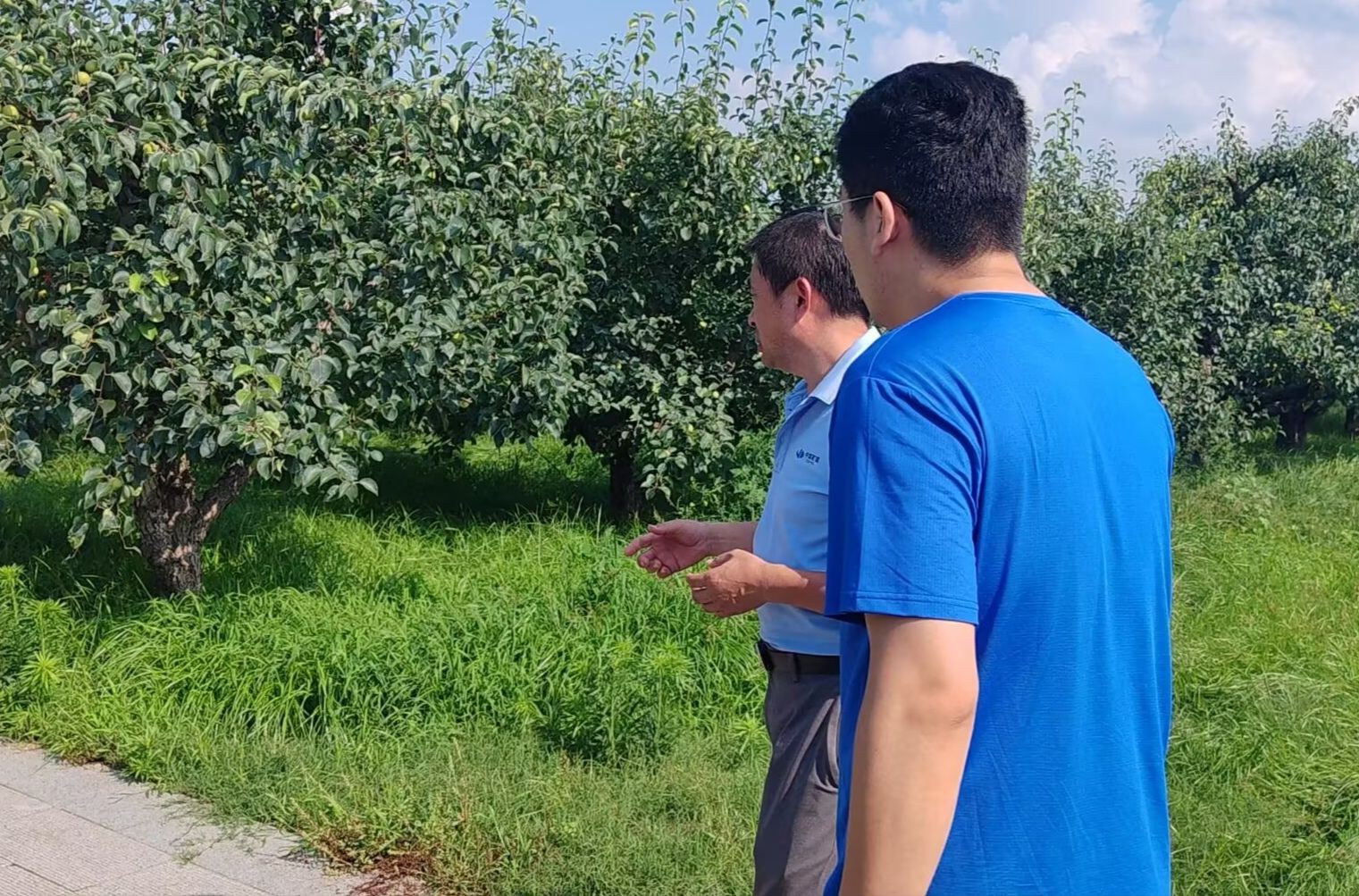 �ഺ�����l�����d���Xɽ�����l���`�F̽�����l�lչ��·��