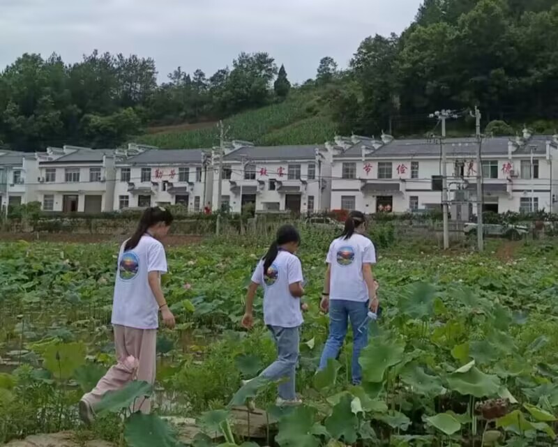 �v���l����£��x���l�����d