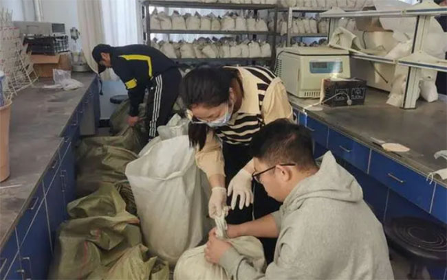 ���ഺ����c���l(xi��ng)�Ĺ���