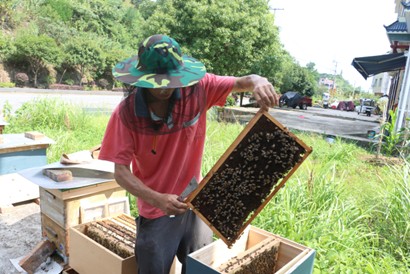 ��(d��ng)�ഺ��Ҋ�������� �������d֮·�����