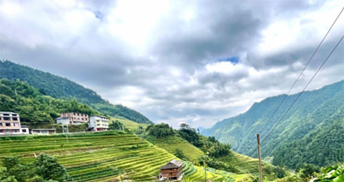 ������ӣ��A �����Ĺ���