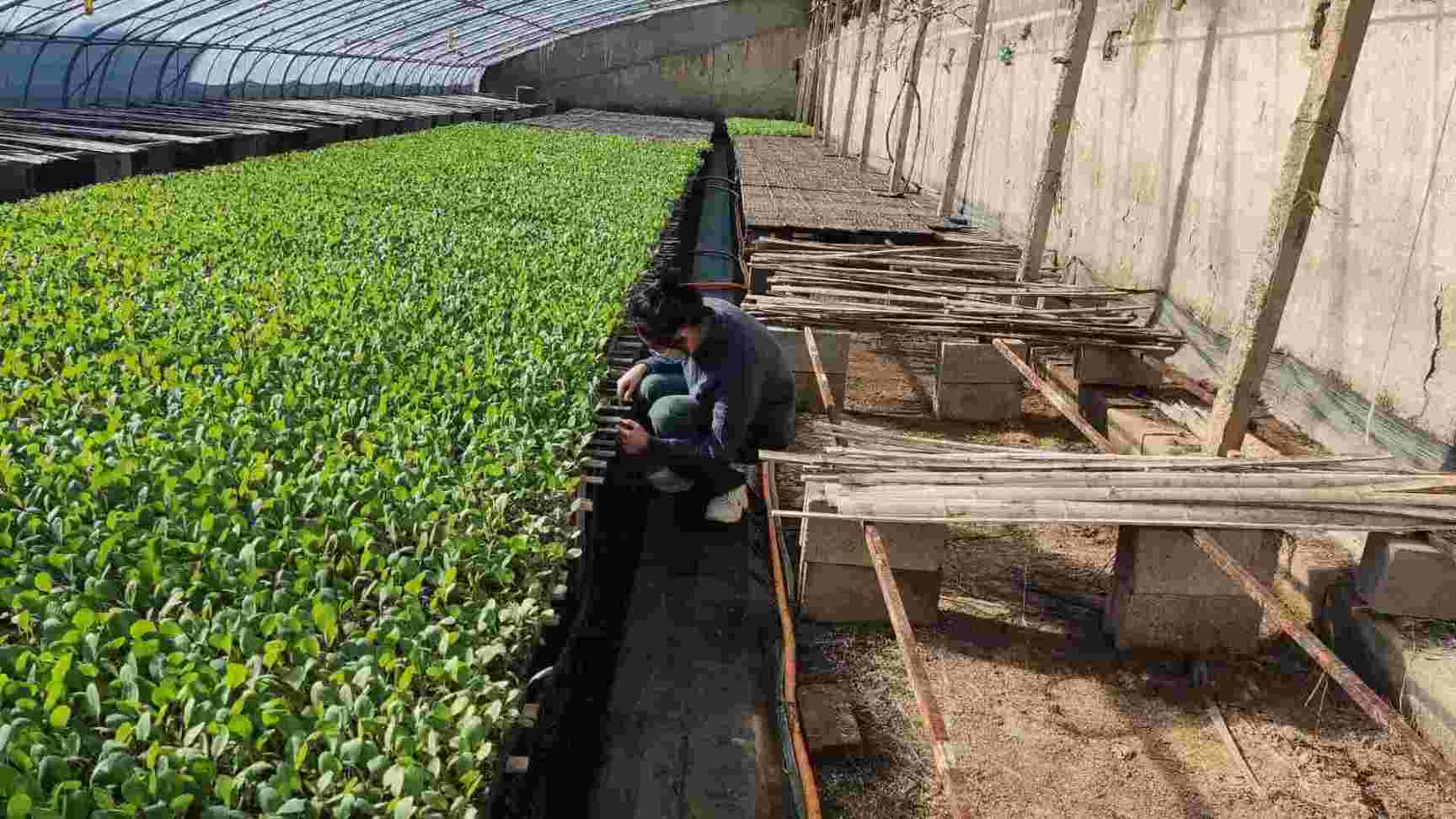 ¡���r(sh��)��(ji��)����æ��������ѿ�G�ⰺ