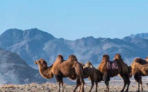 ��һ���^��