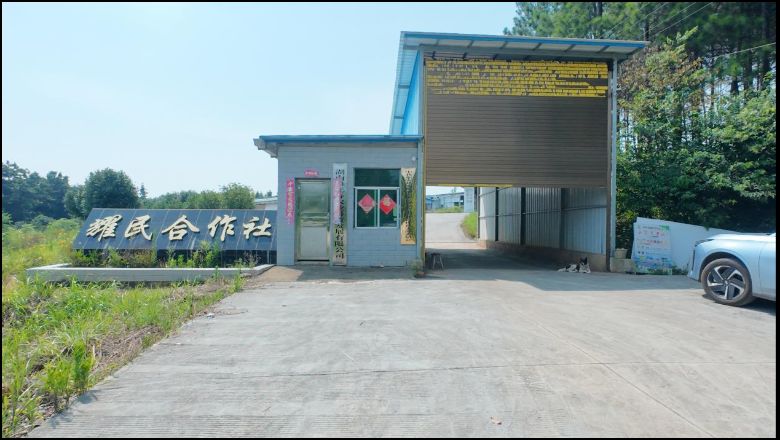 ���ώ�����W��������WԺ���o�B�I��־Ը������|���h�Bֳ����չ�_�{�л��