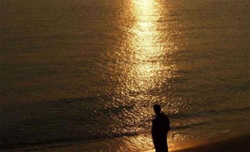 �ČW֮����cԊ�������