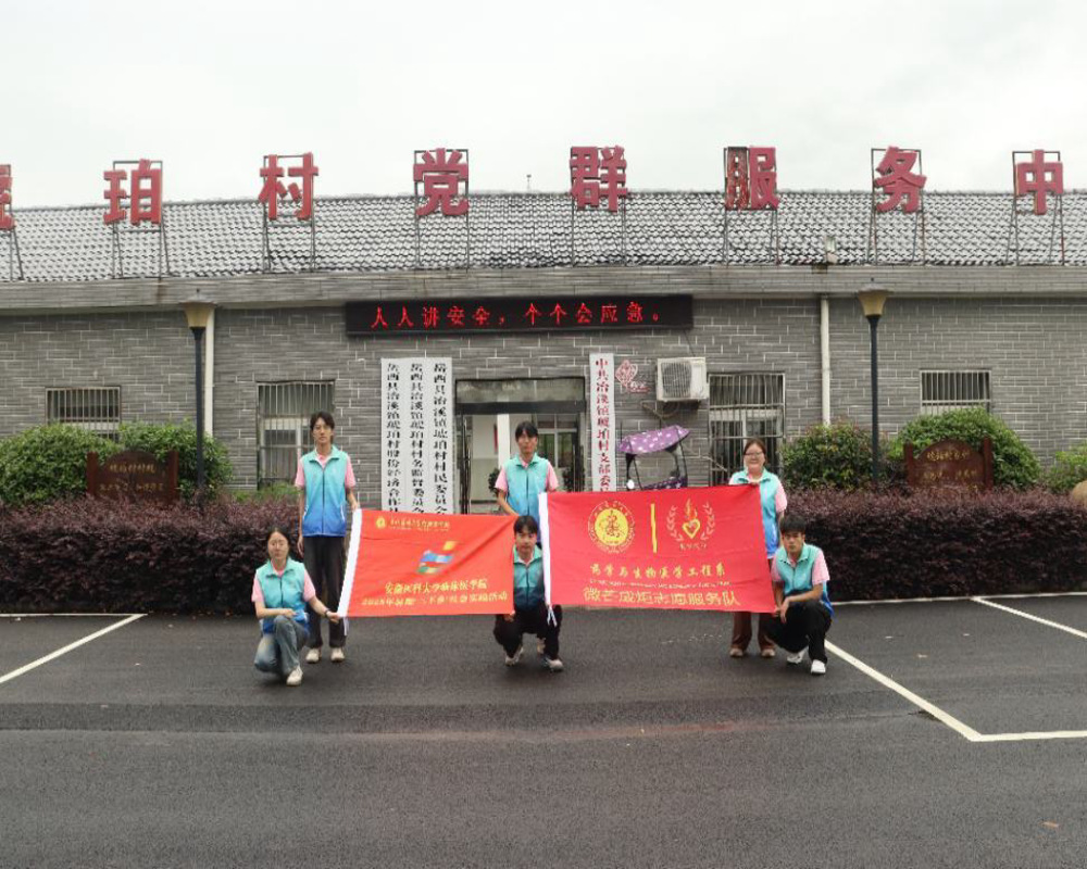 ���t�����С������l���Ԍ��I���`朽Ӱ�ȫ�c����