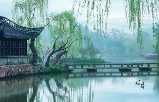 ϣ������