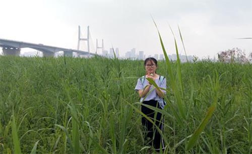 �_̤�����������ǿ�