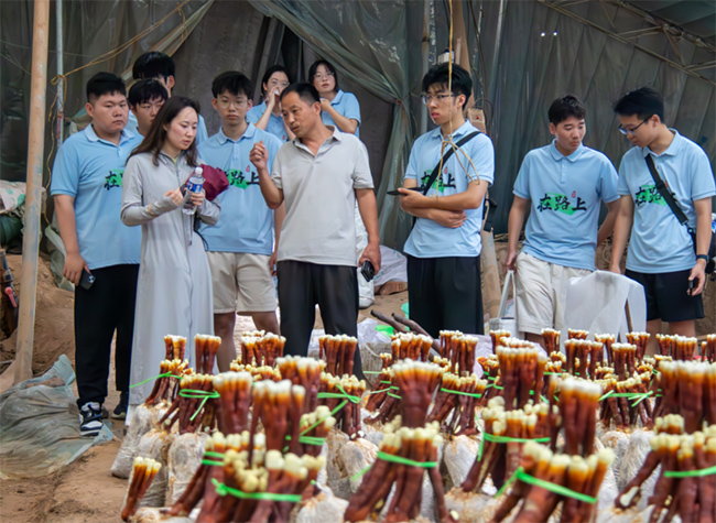 ɽ�|��ͨ�WԺ�_չ���r���`��ӣ��ഺ���`�ڿh�У������`֥�a�I�d