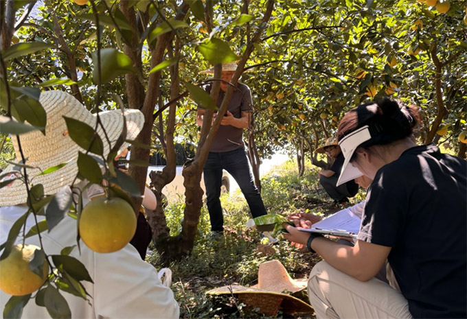 �A���r(n��ng)�󡰳��ĳ��⡱���`�F�������ɵؿƼ��x�ܸ���Ʒ�|(zh��)���������l(xi��ng)�����d