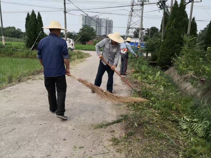 ����l(xi��ng)�����������ഺ֮���L�����d��ɫ