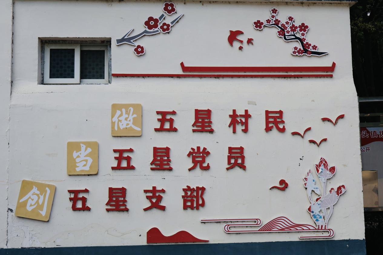 �D����ƎX�塰���ǡ������������R �S���� ���D