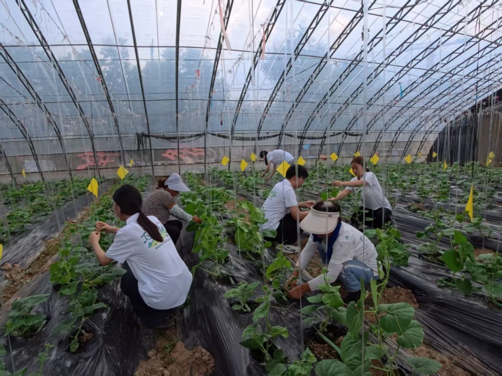 �N�Ϗ�о�������l(xi��ng)��-������������Ƽ����磬�����̎�����҂��ഺ�Ĵ�