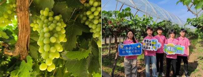 �a(ch��n)�I(y��)�d���L�¾� �l(xi��ng)�����d�V�A��