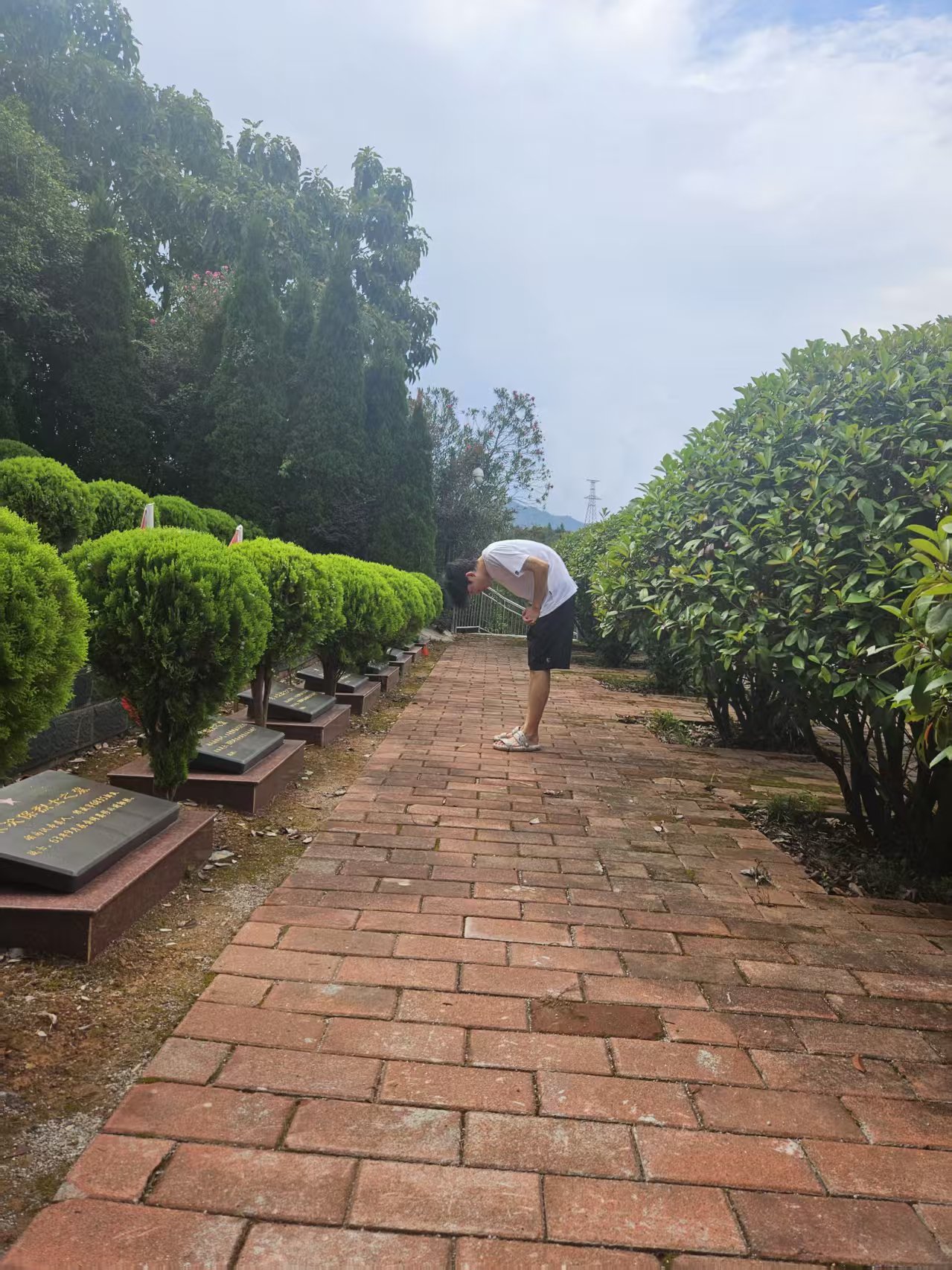 �A�������WУ�Fί�{���Ҽt�����ꌍ�`��_չ�ۇ����x�������`���