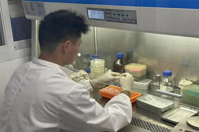 �_ʼ���ɣ����������c�ҙz���F��_չ�z򞹤��