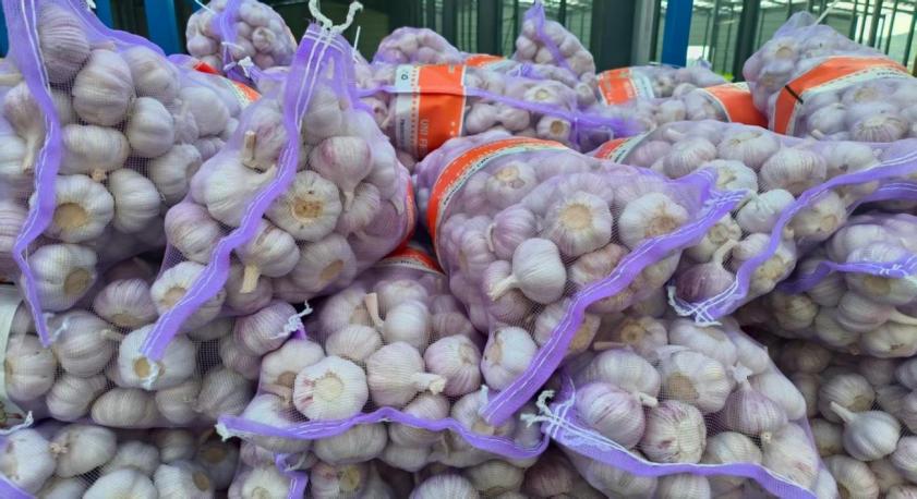 說明: IMG_3391.jpeg