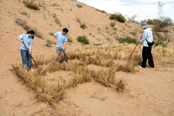 ������ɳ���� �ƏV���B(t��i)������m�ݴ�W(xu��)�]�ϾG�����]ԭ�G퍡��F(tu��n)�(du��)���ڌ�(sh��)�`�o(j��)��(sh��)