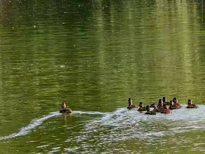 ��a�����Kˮ�}������ˮ���d�����B�ܴa