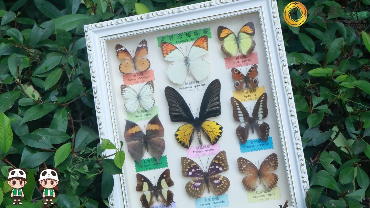 ���i���x�ġ�̼ѭ�ܴa������ӿƴ󡰾Gӳ�x�Q���˱���ӣ�ָ�������̼����